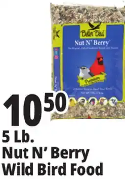 Ocean State Job Lot Premium Nut N' Berry Bird Food 5 lbs offer