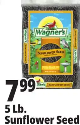 Ocean State Job Lot 5 Lb. Sunflower Seed offer