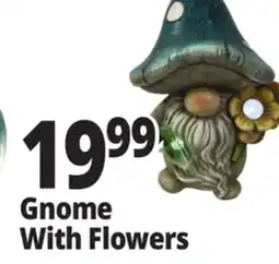 Ocean State Job Lot Gnome With Flowers offer