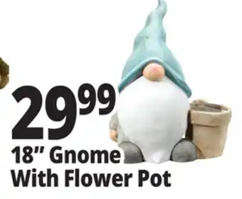 Ocean State Job Lot 18 Gnome With Flower Pot offer