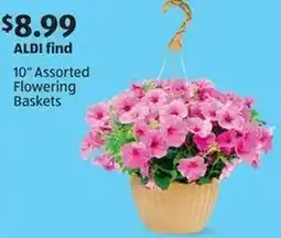 Aldi Assorted flowering baskets offer