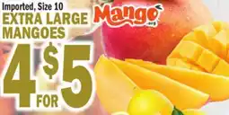 Bravo Supermarkets EXTRA LARGE MANGOES offer