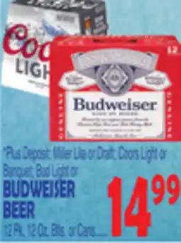 Bravo Supermarkets BUDWEISER BEER offer