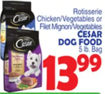 Bravo Supermarkets CESAR DOG FOOD offer
