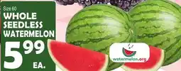 Bravo Supermarkets WHOLE SEEDLESS WATERMELON offer