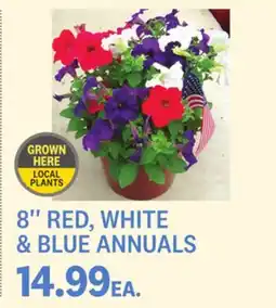 Kings Food Markets 8 RED, WHITE & BLUE ANNUALS offer