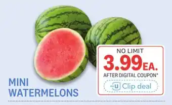 Kings Food Markets MINI WATERMELONS offer