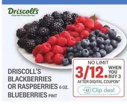 Kings Food Markets DRISCOLL'S BLACKBERRIES OR RASPBERRIES 6 OZ., BLUEBERRIES PINT offer