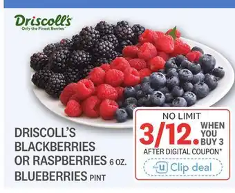 Kings Food Markets DRISCOLL'S BLACKBERRIES OR RASPBERRIES 6 OZ., BLUEBERRIES PINT offer