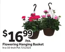 Stop&Shop Flowering Hanging Basket offer