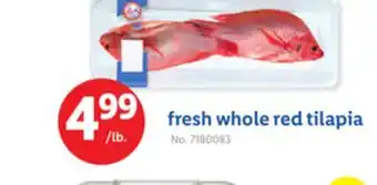 Lidl fresh whole red tilapia offer