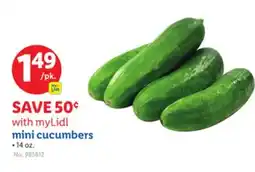 Lidl mini cucumbers offer