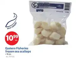 Lidl Eastern Fisheries frozen sea scallops offer