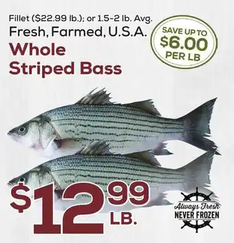 DeCicco & Sons Whole Striped Bass offer