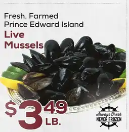 DeCicco & Sons Live Mussels offer