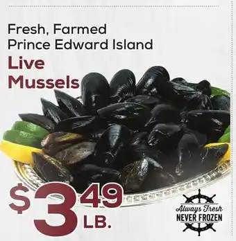 DeCicco & Sons Live Mussels offer