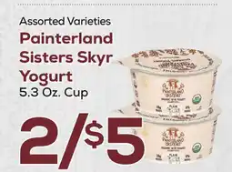 DeCicco & Sons Painterland Sisters Skyr Yogurt offer