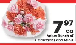 Weis Markets Value Bunch of Carnations and Minis offer