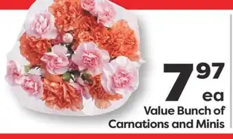 Weis Markets Value Bunch of Carnations and Minis offer