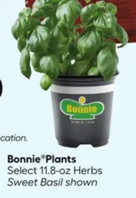 Lowe's Bonnie Plants offer