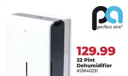 Runnings 22 Pint Dehumidifier offer