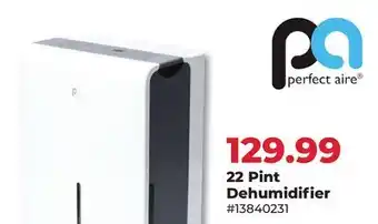 Runnings 22 Pint Dehumidifier offer