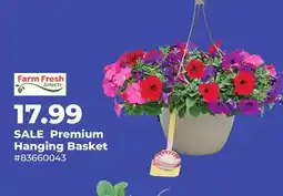 Runnings Premium Hanging Basket offer
