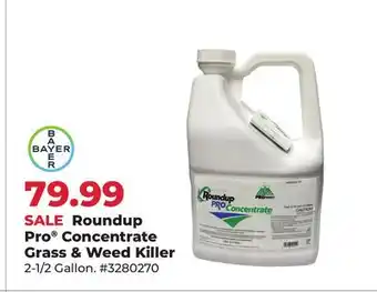 Runnings Roundup Pro Concentrate Grass & Weed Killer offer