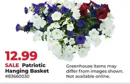 Runnings Patriotic Hanging Basket offer