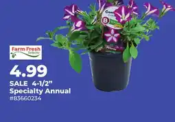 Runnings 4-1/2 Specialty Annual offer