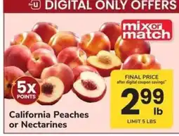 Safeway California Peaches or Nectarines offer