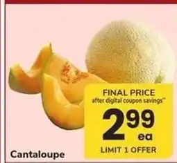 Safeway Cantaloupe offer