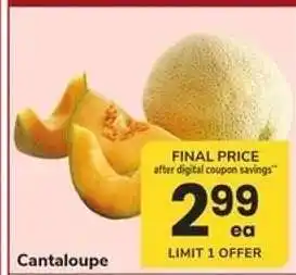 Safeway Cantaloupe offer