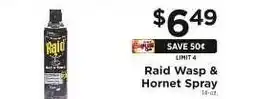 ShopRite Raid Wasp & Hornet Spray offer