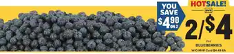 Food Lion Blueberries offer