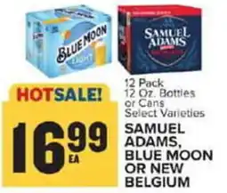Food Lion Samuel adams, blue moon or new belgium offer