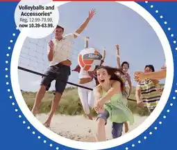 Meijer Volleyballs and Accessories offer