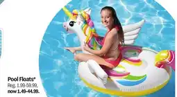 Meijer Pool Floats offer