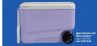 Meijer Igloo Summer and Retro Coolers offer