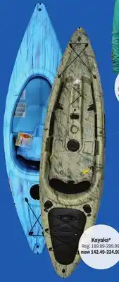 Meijer Kayaks offer
