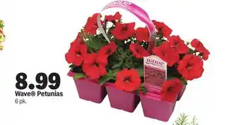 Meijer Wave Petunias offer