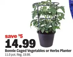 Meijer Bonnie Caged Vegetables or Herbs Planter offer