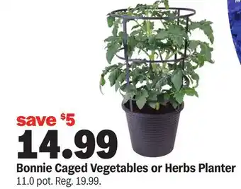 Meijer Bonnie Caged Vegetables or Herbs Planter offer