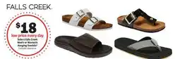 Meijer Select Falls Creek Men's or Women's Hanging Sandals offer