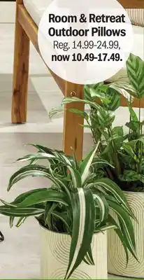 Meijer Room & Retreat Outdoor Pillows offer