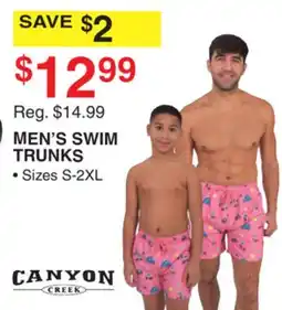 Dunham's Sports CANYON CREEK MEN'S SWIM TRUNKS offer