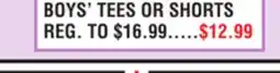 Dunham's Sports BOYS' TEES OR SHORTS offer