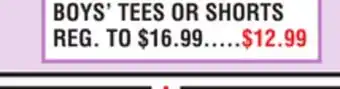 Dunham's Sports BOYS' TEES OR SHORTS offer