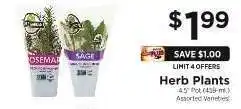 ShopRite Herb Plants offer