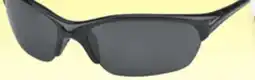 Big 5 Nike Skylon Exp 2 Polarized Sunglasses offer